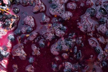 Şarap malzemesi, üzüm suyu - mutlaka, stum, maun. Moldova 'da şarap üretim teknolojisi. Şarap yapma geleneği..