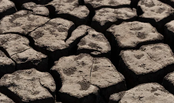干ばつのために地球は割れた 地球上の水の世界的な不足 地球温暖化の概念 土地の乾燥した亀裂 — ストック写真