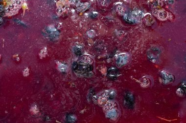 Şarap malzemesi, üzüm suyu - mutlaka, stum, maun. Moldova 'da şarap üretim teknolojisi. Şarap yapma geleneği..