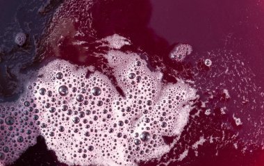 Köpüklü taze üzüm suyu. Akıp, özel bir konteynırda toplanmalı. Şarap yapımı. Moldova 'da şarap üretim teknolojisi. Üzüm işlemenin eski halk geleneği. Evi hasat et.