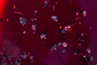 Şarap malzemesi, üzüm suyu - mutlaka, stum, maun. Moldova 'da şarap üretim teknolojisi. Şarap yapma geleneği..