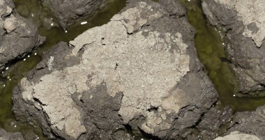 Dünya kuraklık yüzünden çatladı. Gezegendeki küresel su sıkıntısı. Küresel ısınma kavramı.