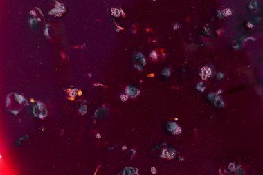 Şarap malzemesi, üzüm suyu - mutlaka, stum, maun. Moldova 'da şarap üretim teknolojisi. Şarap yapma geleneği..