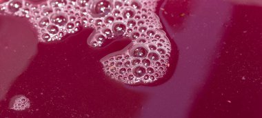 Şarap yapımı. Köpüklü taze üzüm suyu. Akarsu akmalı ve özel bir kapta toplanmalı. Moldova 'da şarap üretim teknolojisi. Üzüm işlemenin eski halk geleneği. Evi hasat et.