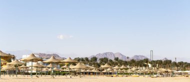 COVID 19 salgını sırasında Mısır 'da boş bir plaj. Kızıl Deniz kıyısı, insanların olmadığı bir dinlenme alanı..