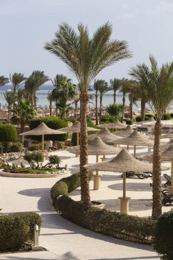 Mısır 'ın park dinlenme alanları. Bahçe ve manzara tasarımı.