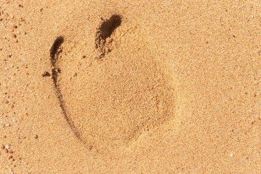 Kumda bir devenin ayak izi..