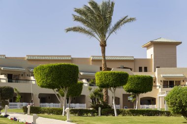 Mısır 'ın park dinlenme alanları. Bahçe ve manzara tasarımı.