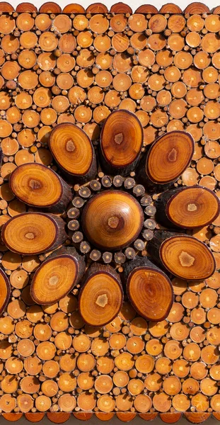 Cross section of the tree. The texture of the wood in the stump. Old board.