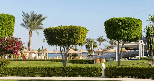 Parque Áreas Recreación Egipto Diseño Jardines Paisajes —  Fotos de Stock