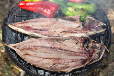 Izgarada yemek pişirmek. Uskumru ve tatlı biber ateşte pişiyor. Doğal Yemek Pişirme - Doğayla uyum içinde yemek pişirme.