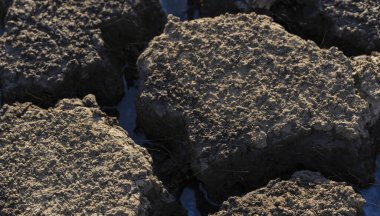 Dünya kuraklık yüzünden çatladı. Gezegendeki küresel su sıkıntısı. Küresel ısınma kavramı.