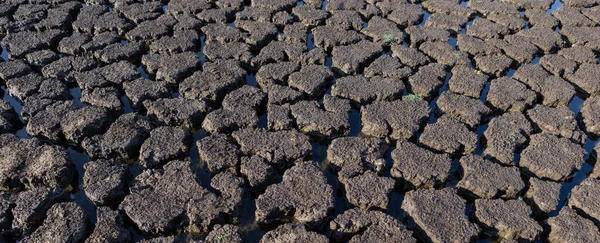 Země Praskla Kvůli Suchu Celosvětový Nedostatek Vody Planetě Koncept Globálního — Stock fotografie
