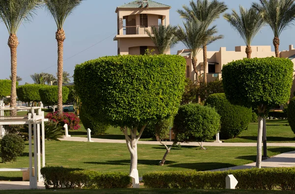 Parque Áreas Recreación Egipto Diseño Jardines Paisajes —  Fotos de Stock