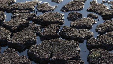 Dünya kuraklık yüzünden çatladı. Gezegendeki küresel su sıkıntısı. Küresel ısınma kavramı.