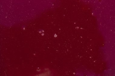 Şarap malzemesi, üzüm suyu - mutlaka, stum, maun. Moldova 'da şarap üretim teknolojisi. Şarap yapma geleneği. Eski üzüm işleme geleneği..