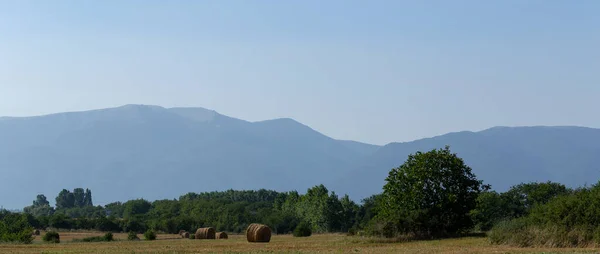 Wheat Harvesting Bales Straw Field Agriculture Mountainous Areas — Stock Photo, Image