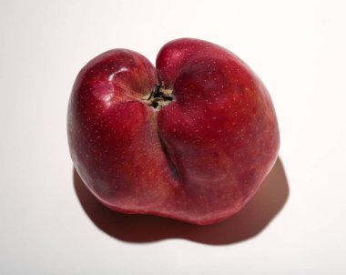 Çirkin kırmızı bir elma. Beyaz arka planda şekil bozukluğu olan bir meyve..