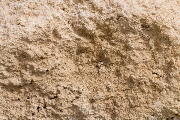 Kızıl Deniz 'in fosil mercanları. Taşa dönüşmüş antik yaratıklar. Resif mercanları.