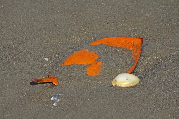 Padlý List Pláži — Stock fotografie
