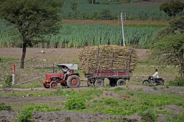 Traktor Laded Hromadou Sugarcanes Vladimíra Maharashtra Indie — Stock fotografie