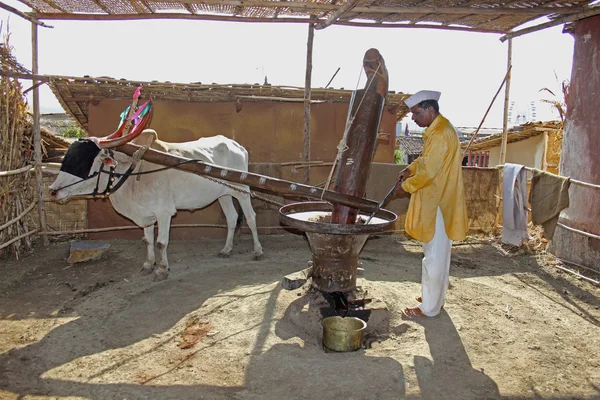 Traditional Oil Mill Man Using Oxen Press Oil Some Sort — 스톡 사진