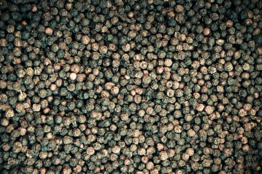 Kara biber, karabiber