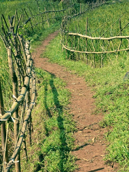 Camino Con Compuesto Que Hacia Una Pequeña Cabaña Ratnagiri Maharashtra —  Fotos de Stock