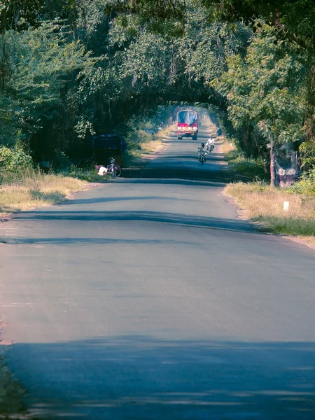 風景を通る道路 インド — ストック写真