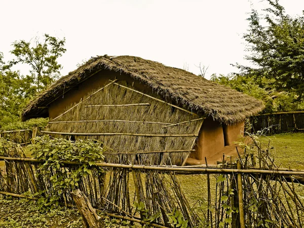 Baora Kabileleri, Orissa, Andhra Pradesh, Hindistan