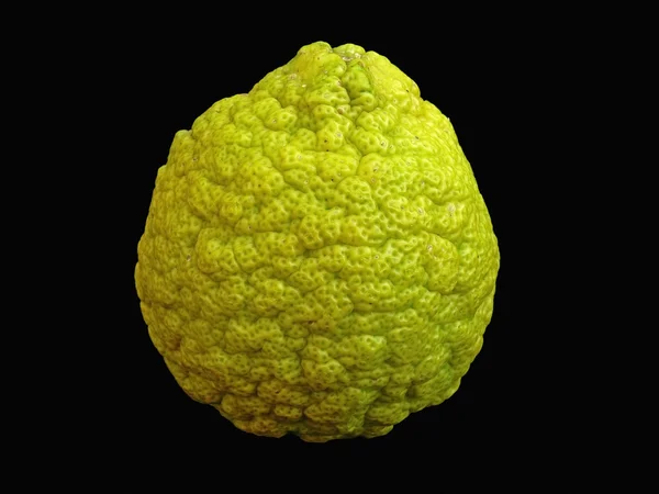 Citrus Aurantium Linn Sour Orange Idlimbu — Φωτογραφία Αρχείου