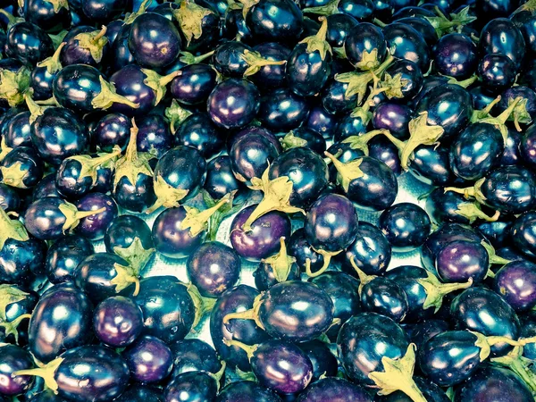 Brinjals Terong Solanum Melongeana Pasar — Stok Foto