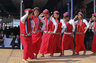 Tagin Kadınları, Kabileler Namdapha Eko Kültür Festivali 'nde Gösteri Dansı, Miao, Arunachal Pradesh, Hindistan