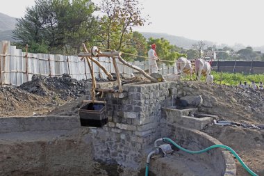 Hindistan 'da şeker kamışı suyu ile jaggery yapmak