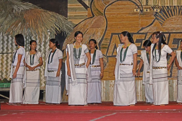 印度阿鲁纳恰尔邦苗族省南达法生态文化节期间阿迪部落的传统舞蹈 — 图库照片