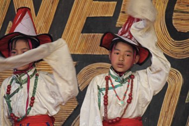 Namdapha Eko Kültür Festivali'nde Tibet performans halk kol dans geleneksel azınlık, Miao, Arunachal Pradesh, Hindistan