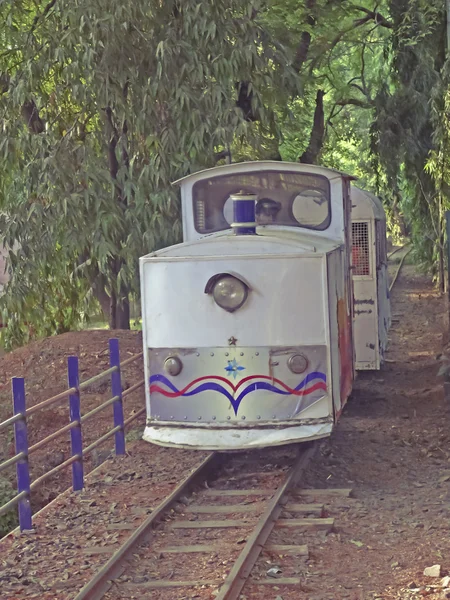 Pociąg Zabawkowy Torze Narrow Gauge Peshwe Park Pune Maharashtra Indie — Zdjęcie stockowe