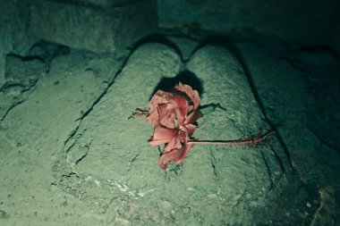 Kikli'deki Lord Shiva'nın Shri bhiravnath Tapınağı'nda oyma, Maharashtra, Hindistan