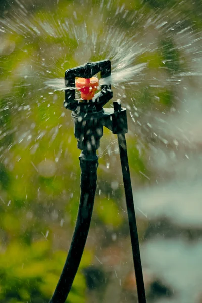 Aspersor Microjato Para Irrigação Água Índia — Fotografia de Stock