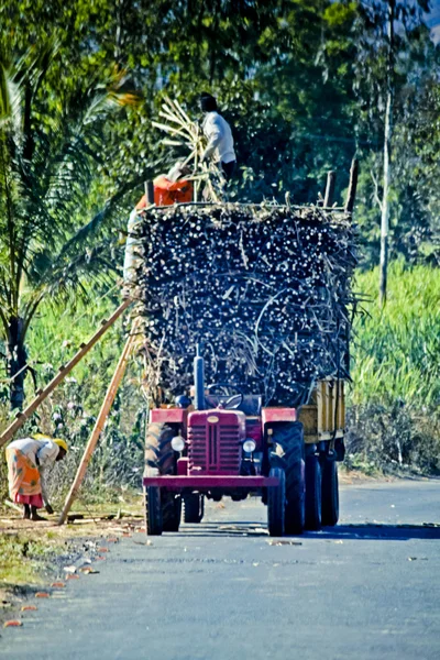 Трактор Загруженный Пачками Сахарного Тростника Сатара Махараштра Индия — стоковое фото