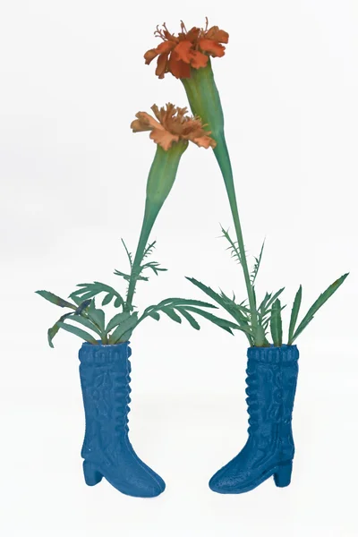 Sapatos Brinquedo Plástico Com Flores Calêndula Conceito — Fotografia de Stock