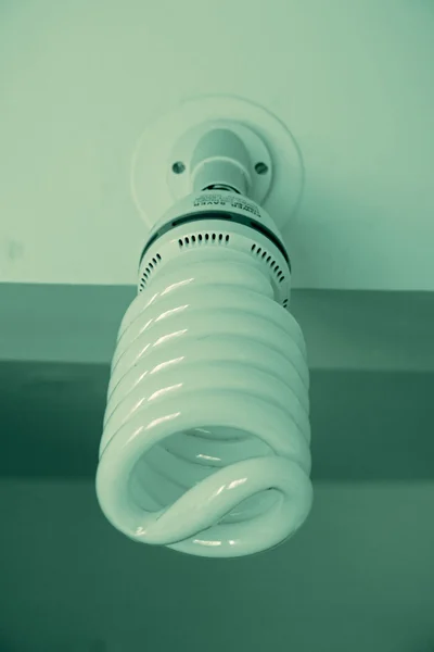 省エネルギーコンパクト蛍光灯 Cfl — ストック写真