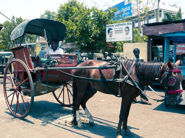 Carro Caballos Kolhapur Maharashtra India —  Fotos de Stock