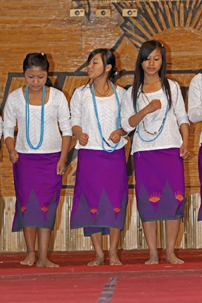 Dança Tradicional Das Tribos Apatani Durante Namdapha Eco Cultural Festival — Fotografia de Stock