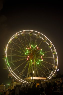Neon sign, Ferris wheel at night, India