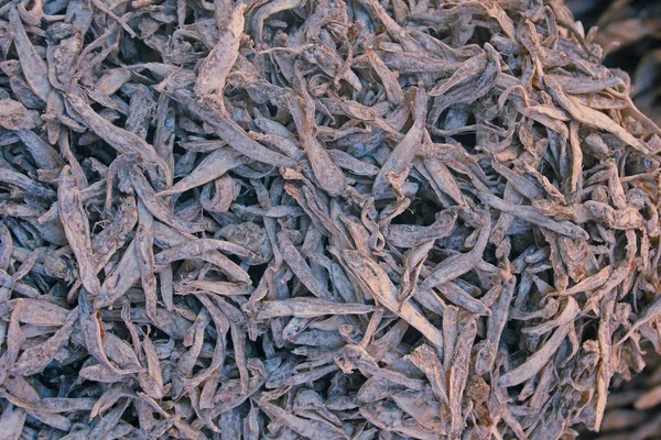 在印度马哈拉施特拉邦的鱼市场出售的干鱼 — 图库照片