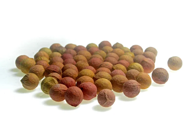 Sandal ağacı, Santalum spicatum tohumları