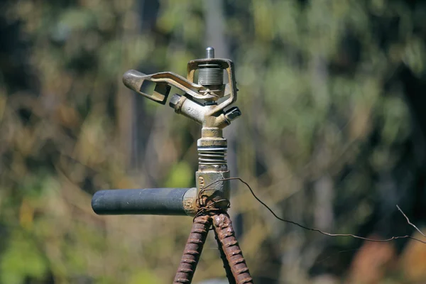 Irrigação com pulverizador em um jardim — Fotografia de Stock
