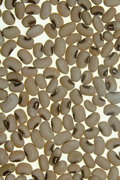 Gedroogde Black-Eyed Peas, Cowpea — Stockfoto