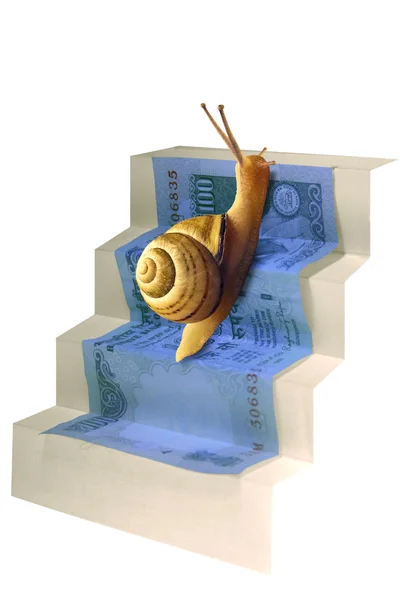 Schnecke auf der Treppe — Stockfoto